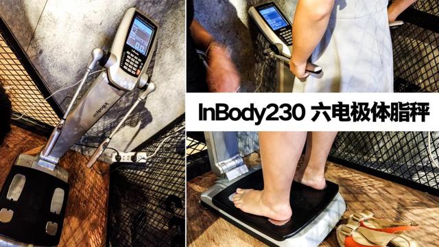 脂秤横评究竟该怎么买呢？开元棋牌试玩四款家用体(图3)